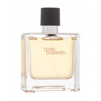 Hermes Terre d´Hermès 75 ml parfém pro muže