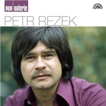 Rezek Petr: Pop galerie - CD (SU5782-2)