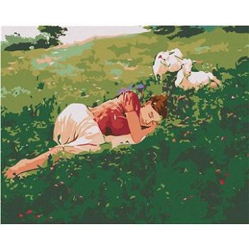 Malování podle čísel - Spící žena v trávě a kůzlata (HRAmal00954nad)