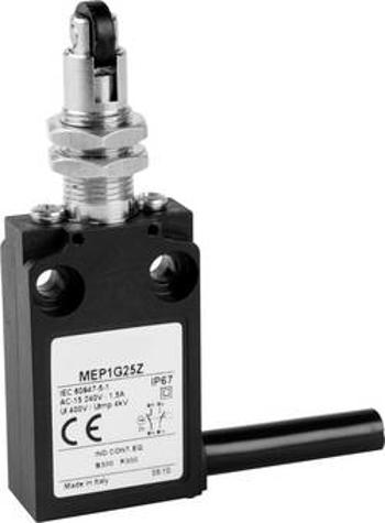 Koncový spínač Panasonic MEP1G24Z, 24 V, 5 A, kladka křížová, IP67, 1 ks