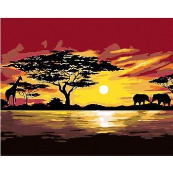 Diamondi - Diamantové malování - AFRIKA ŽIRAFA A SLONI, 40x50 cm, Vypnuté plátno na rám (606106B)