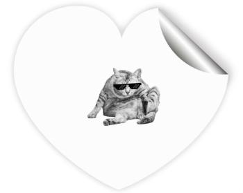 Samolepky srdce - 5 kusů Drsná kočka
