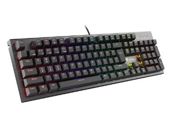 Mechanická klávesnice Genesis Thor 300 RGB, US layout, RGB podsvícení, software, Outemu Brown, NKG-1571