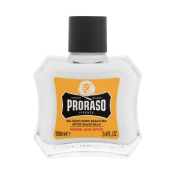 PRORASO Wood & Spice After Shave Balm 100 ml balzám po holení pro muže