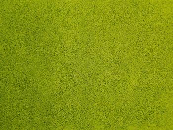 Vopi koberce Metrážový koberec Color Shaggy zelený -  s obšitím  Zelená 1,33m