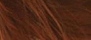 HennaPlus Přírodní prášková barva (Colour Powder) 100 g 56 Kaštanová