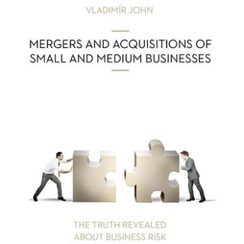 MERGERS AND ACQUSITIONS OF SMALL AND MEDIUM BUSINESSES