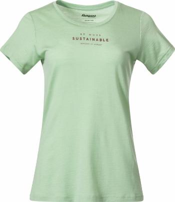 Bergans Graphic Wool Tee Women Light Jade Green/Chianti Red L Tričko