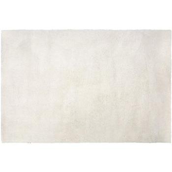 Koberec bílý 200 x 300 cm Shaggy EVREN, 184399 (beliani_184399)