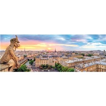 Trefl Panoramatické puzzle Výhled z katedrály Notre-Dame 1000 dílků (5900511290295)