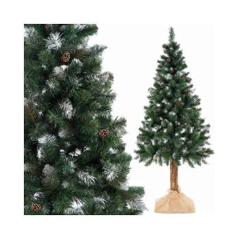 Vánoční stromek Borovice diamantová na kmínku 180 cm