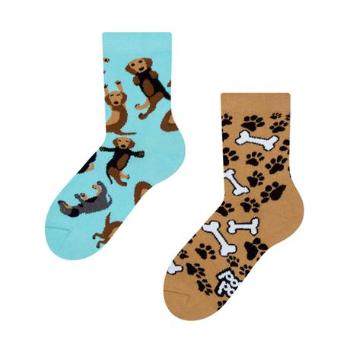 DEDOLES Dětské veselé ponožky jezevčík 23-26
