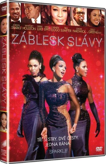 Záblesk slávy (DVD)