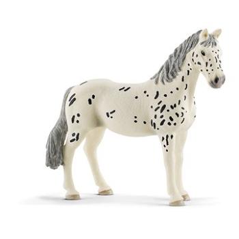 Schleich Klisna knabstrupperská 13910 (4059433039633)