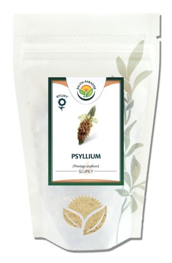 Salvia Paradise Psyllium 200 g