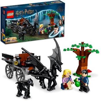 LEGO® Harry Potter™ 76400 Bradavice: Kočár a testrálové (5702017153414)