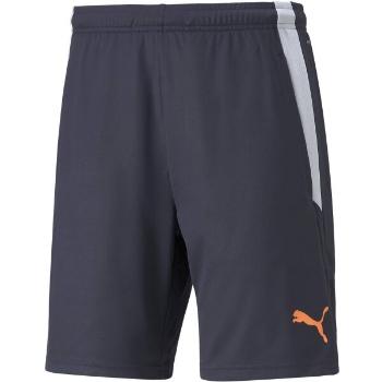 Puma TEAMLIGA TRAINING SHORTS 2 Pánské fotbalové šortky, černá, velikost XS