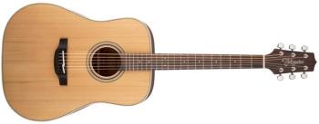 Takamine GD20-NS