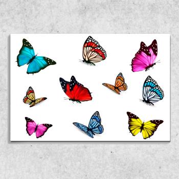 Foto na plátně Motýlci 90x60 cm