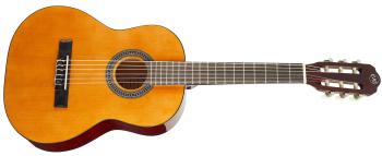 Tanglewood EM C1