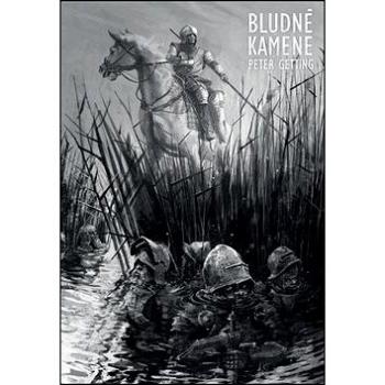 Bludné kamene (978-80-89647-52-1)