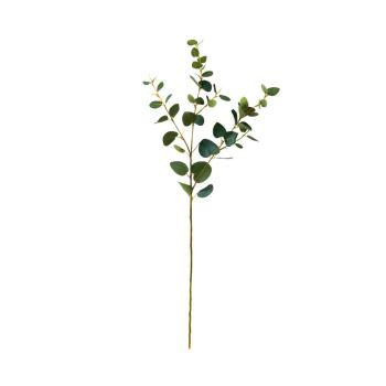 FLORISTA Větvičky eukalyptu set 4 ks - zelená