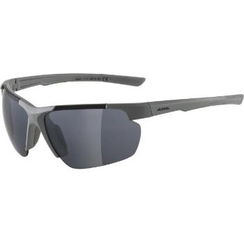 Alpina Sports DEFEY HR Sluneční brýle, tmavě šedá, velikost UNI