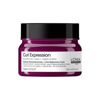 L'Oréal Professionnel Curl Expression Professional Mask 250 ml maska na vlasy pro ženy na kundrnaté vlasy; na vlnité vlasy