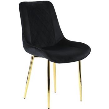 Židle CN-6020 židle černá zlatý rám (Stema_5903917404792)