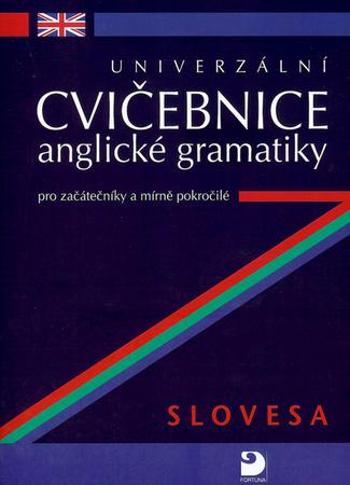 Univerzální cvičebnice anglické gramatiky - Kácha Petr