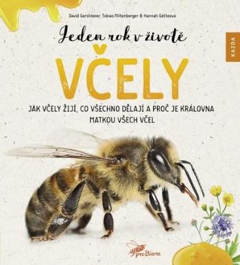Jeden rok v životě včely - Gerstmeier David