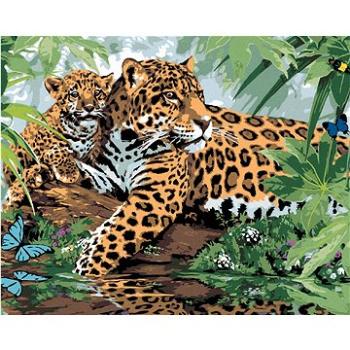 Malování podle čísel - Jaguár s mládětem u vody (Howard Robinson) (HRAbz33382nad)