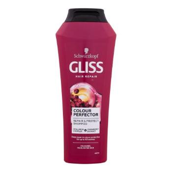 Schwarzkopf Gliss Colour Perfector Shampoo 250 ml šampon pro ženy na barvené vlasy