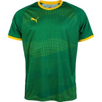 Puma KC LIGA JERSEY GRAPHIC Pánský fotbalový dres, zelená, velikost XXL