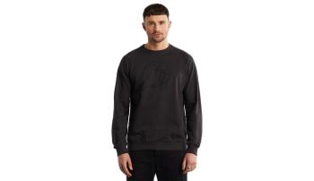 Dedicated Sweatshirt Malmoe Globe Charcoal zelené 18822