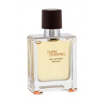 Hermes Terre d´Hermès Eau Intense Vétiver 50 ml parfémovaná voda pro muže