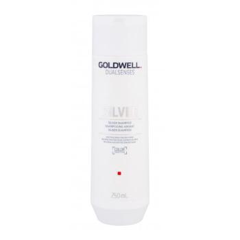 Goldwell Dualsenses Silver 250 ml šampon pro ženy na šedivé vlasy