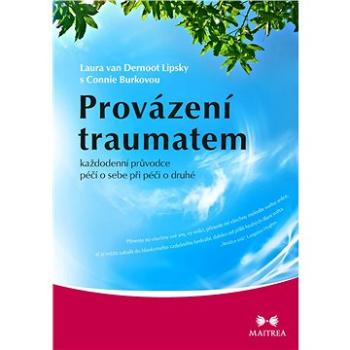 Provázení traumatem (978-80-750-0505-2)