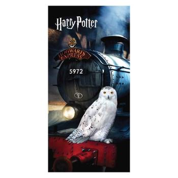 Osuška Harry Potter Sova Hedwiga 70 x 140 cm