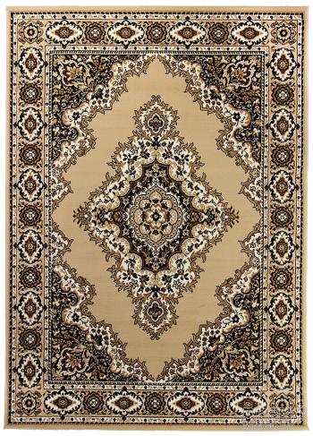Sintelon koberce Kusový koberec Teheran Practica 58/EVE - 240x340 cm Hnědá