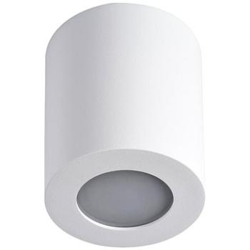 Koupelnové stropní svítidlo SANI 1xGU10/10W/230V IP44 bílá (106750)