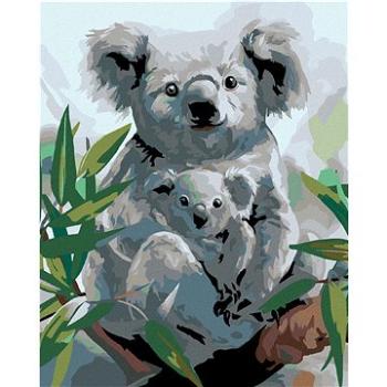 Diamondi - Diamantové malování - KOALA S MLÁDĚTEM, 40x50 cm, bez rámu a bez vypnutí plátna (606052A)