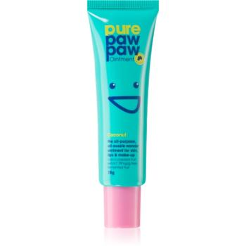 Pure Paw Paw Coconut balzám na rty a suchá místa 15 g