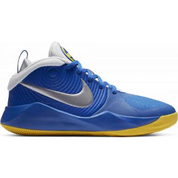 Nike TEAM HUSTLE D9 Dětská basketbalová obuv, modrá, velikost 39