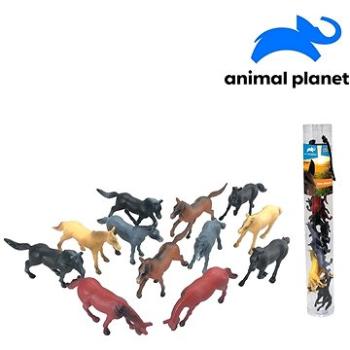 Zvířátka v tubě - koně, 6 - 8 cm, mobilní aplikace pro zobrazení zvířátek, 12 ks (8590756075510)