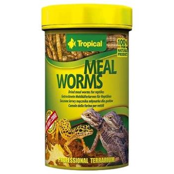 Tropical Meal worms 100 ml 13 g (5900469111833)