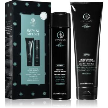 Paul Mitchell Awapuhi Wild Ginger sada (pro suché a poškozené vlasy) II.