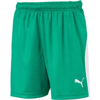 Puma LIGA SHORTS JR Chlapecké sportovní trenky, zelená, velikost 128