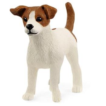 Schleich Zvířátko - teriér Jack Russell 13916 (4059433692142)