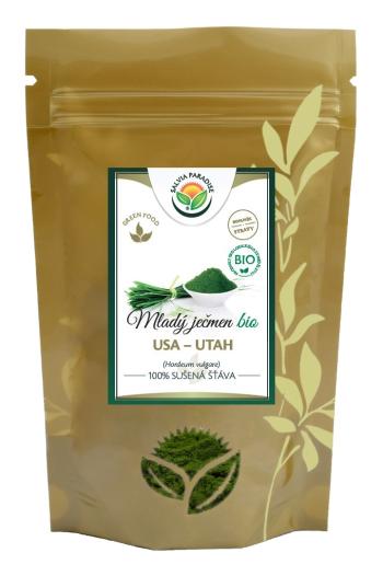Salvia Paradise Mladý zelený ječmen 100% sušená šťáva BIO 100 g